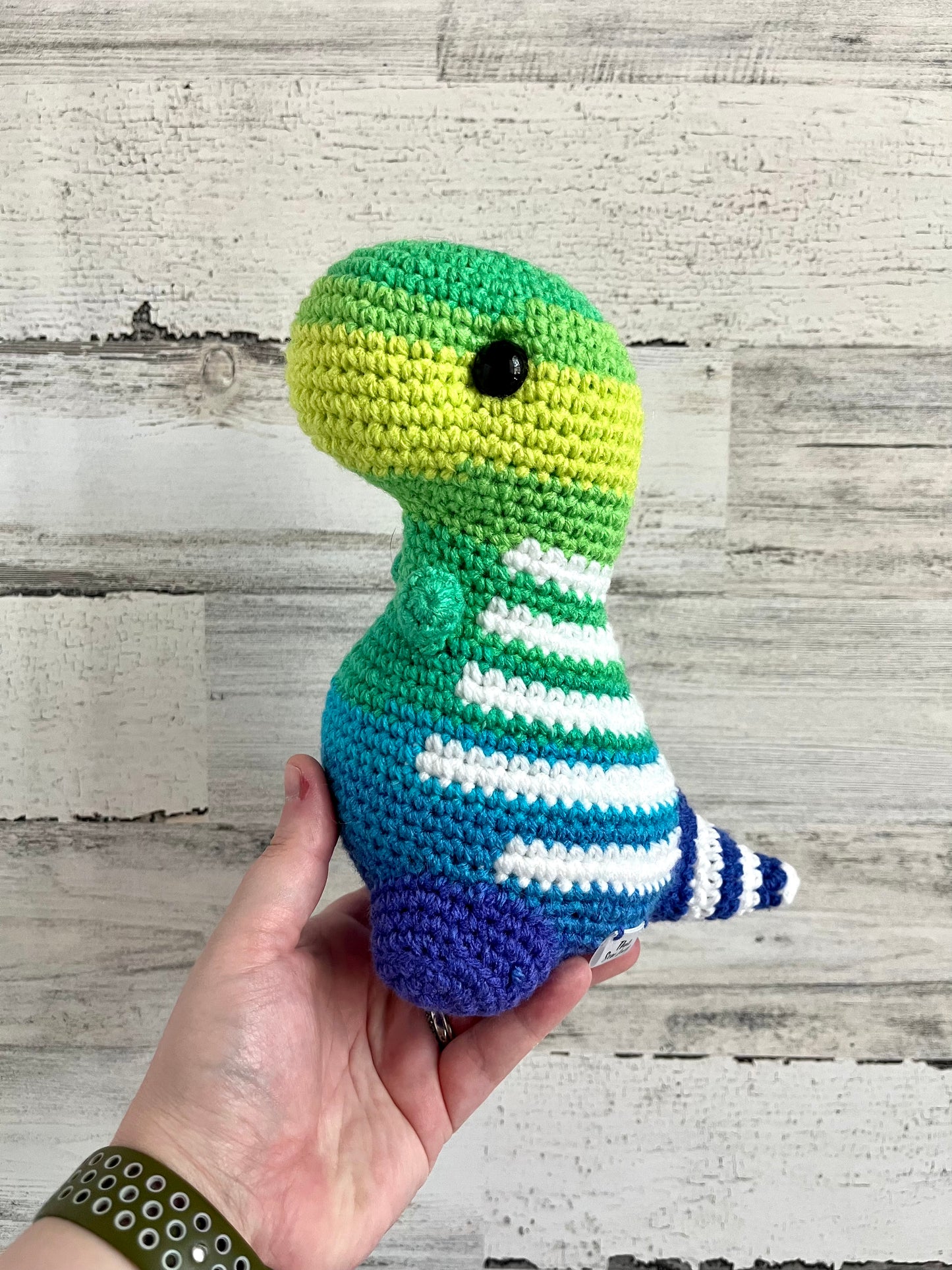 Parrot Ombré - Chubby Dinosaur