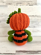 Lade das Bild in den Galerie-Viewer, Max the Pumpkin Pal
