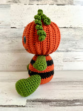 Lade das Bild in den Galerie-Viewer, Max the Pumpkin Pal
