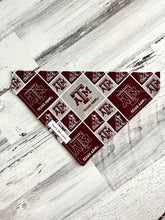 Cargar imagen en el visor de la galería, Texas A&amp;M - Slip On Pet Bandana
