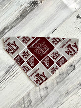 Cargar imagen en el visor de la galería, Texas A&amp;M / University of Texas Paisley House Divided - Slip On Pet Bandana
