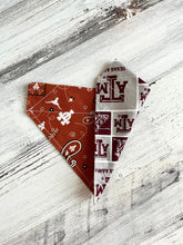 Load image into Gallery viewer, Texas A&amp;M / University of Texas Paisley House Divided - Slip On Pet Bandana
