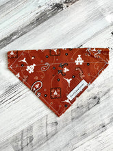 Load image into Gallery viewer, Texas A&amp;M / University of Texas Paisley House Divided - Slip On Pet Bandana
