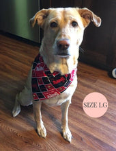 Lade das Bild in den Galerie-Viewer, Texas Rangers - Slip On Pet Bandana
