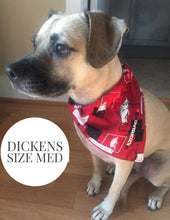 Load image into Gallery viewer, Arkansas Razorbacks - Slip On Pet Bandana
