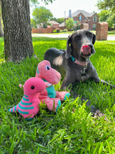 Cargar imagen en el visor de la galería, Indy’s Dino! Tropical Pink with Teal Stripes - Chubby Dinosaur
