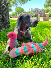 Cargar imagen en el visor de la galería, Indy’s Dino! Tropical Pink with Teal Stripes - Chubby Dinosaur
