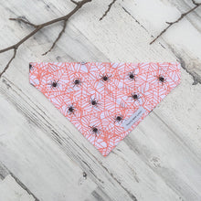 Cargar imagen en el visor de la galería, Spider Webs - Slip On Pet Bandana
