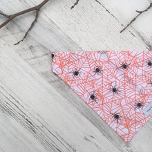 Cargar imagen en el visor de la galería, Spider Webs - Slip On Pet Bandana
