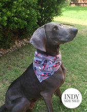 Cargar imagen en el visor de la galería, Spider Webs - Slip On Pet Bandana
