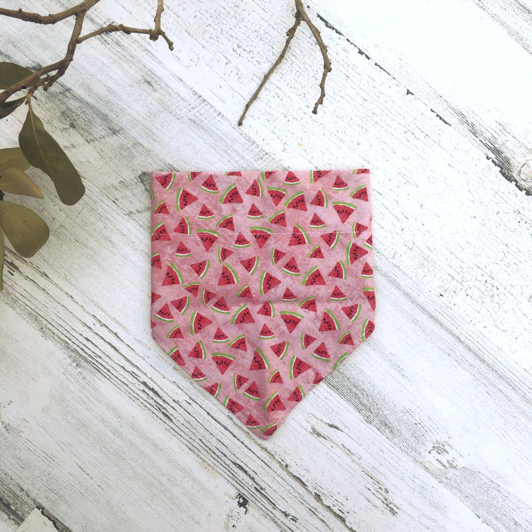 Watermelon Slices - Slip On Pet Bandana