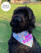 Cargar imagen en el visor de la galería, Birthday Balloons - Slip On Pet Bandana
