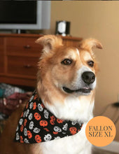 Cargar imagen en el visor de la galería, Birthday Balloons - Slip On Pet Bandana
