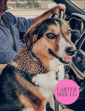 Cargar imagen en el visor de la galería, Zebra Print - Slip On Pet Bandana
