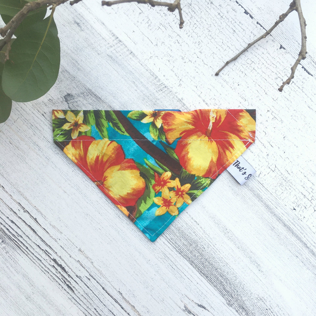 Tropical Flowers - Slip On Pet Bandana