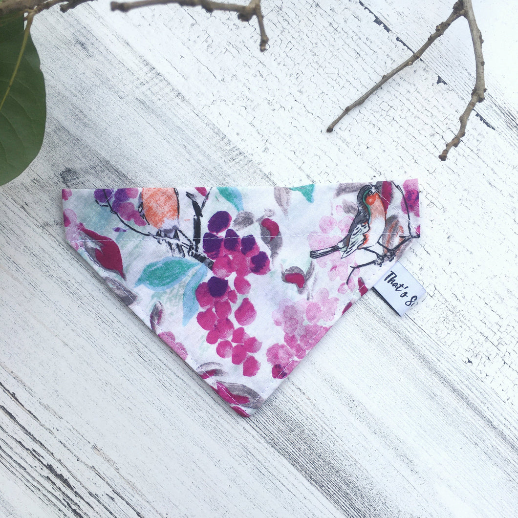 Watercolor Birds - Slip On Pet Bandana