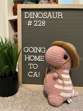 Cargar imagen en el visor de la galería, Light Rose Pink &amp; White - Chubby Dinosaur

