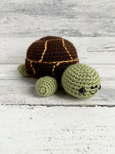 Lade das Bild in den Galerie-Viewer, Timmy the Turtle
