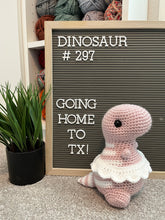 Cargar imagen en el visor de la galería, Light Rose Pink &amp; White - Chubby Dinosaur
