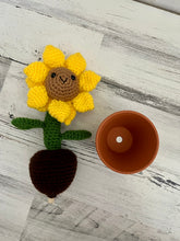 Lade das Bild in den Galerie-Viewer, Potted Sunflower
