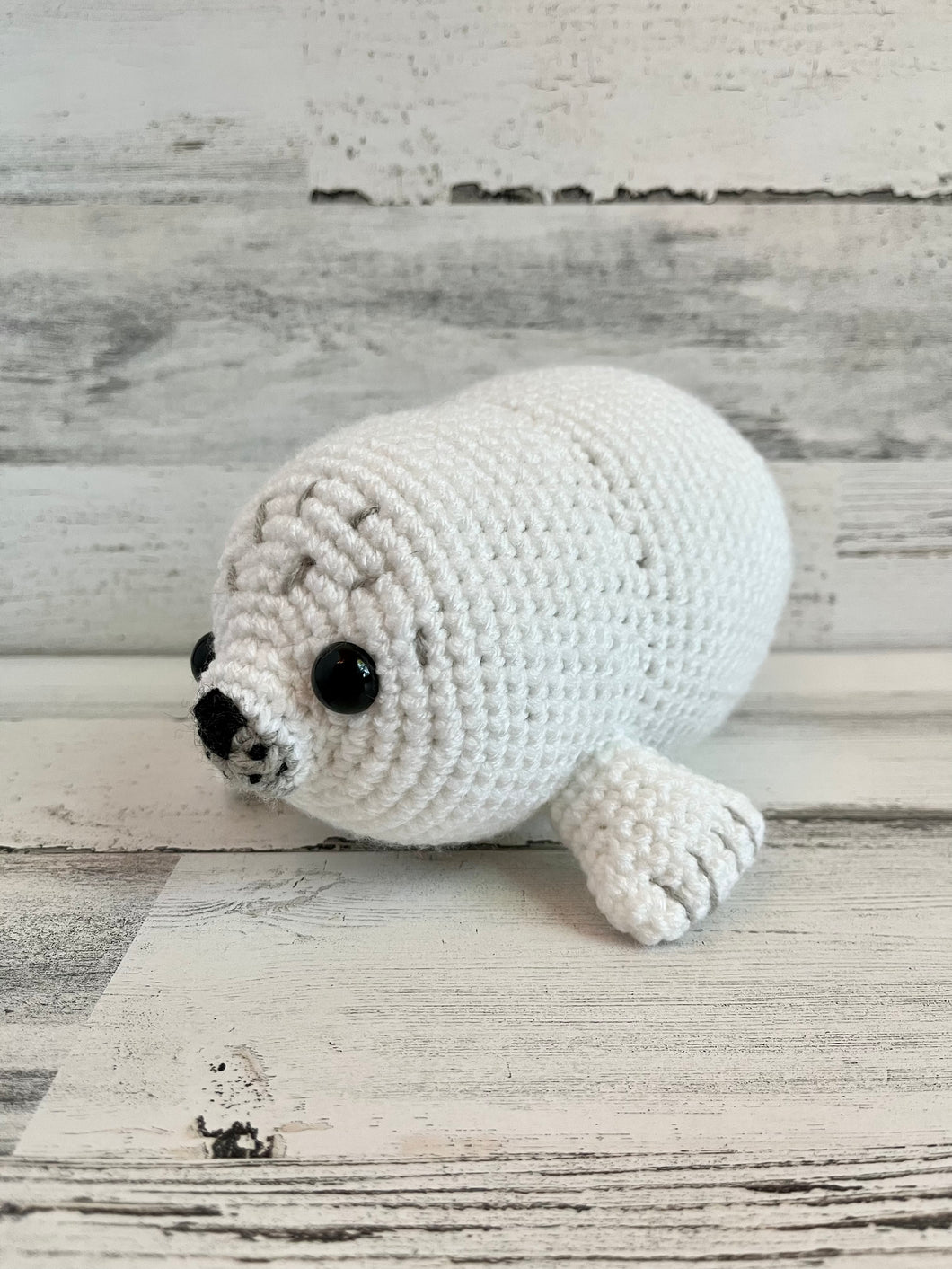 Chubby Baby Seal