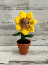 Load image into Gallery viewer, Potted Sunflower
