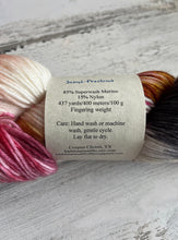 Load image into Gallery viewer, Bashful Armadillo Yarn - Semi Precious
